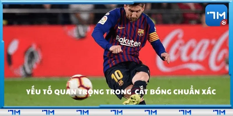 Yếu tố quan trọng trong thi đấu