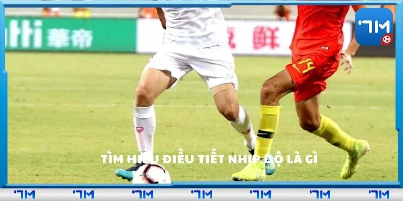 Tìm hiểu điều tiết nhịp độ là gì