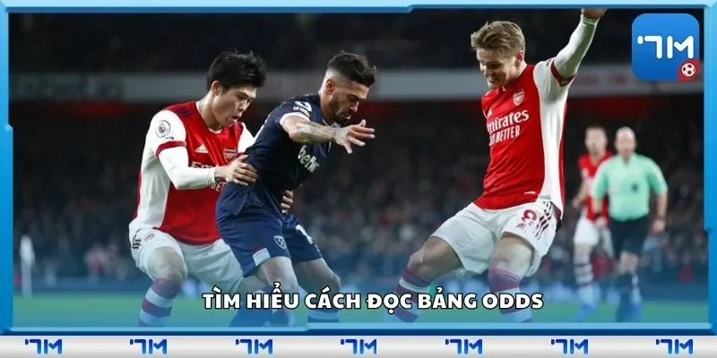 Tìm hiểu cách đọc bảng odds