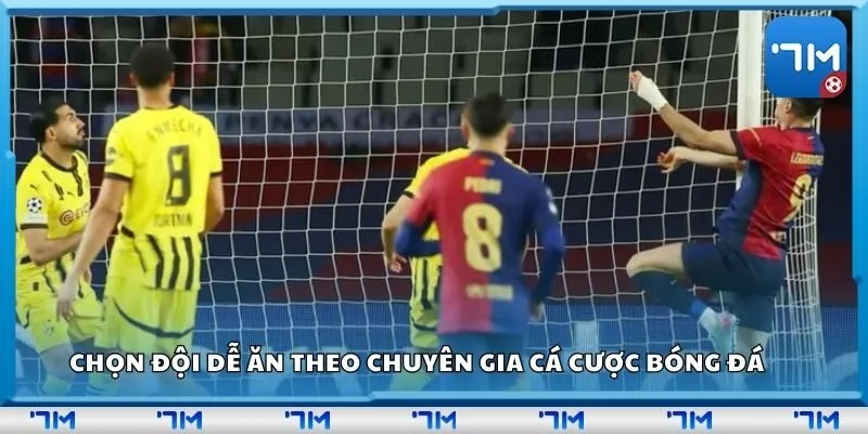 Chọn đội dễ ăn theo chuyên gia cá cược bóng đá