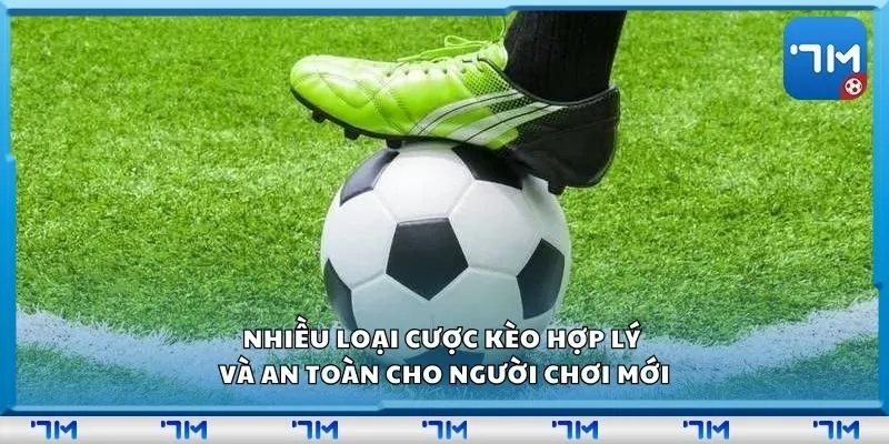 Nhiều loại cược kèo hợp lý và an toàn cho người chơi mới