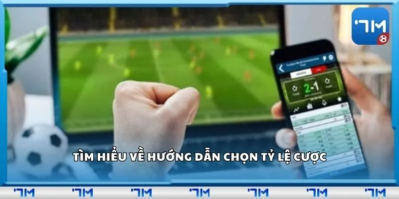 Tìm hiểu về hướng dẫn chọn tỷ lệ cược