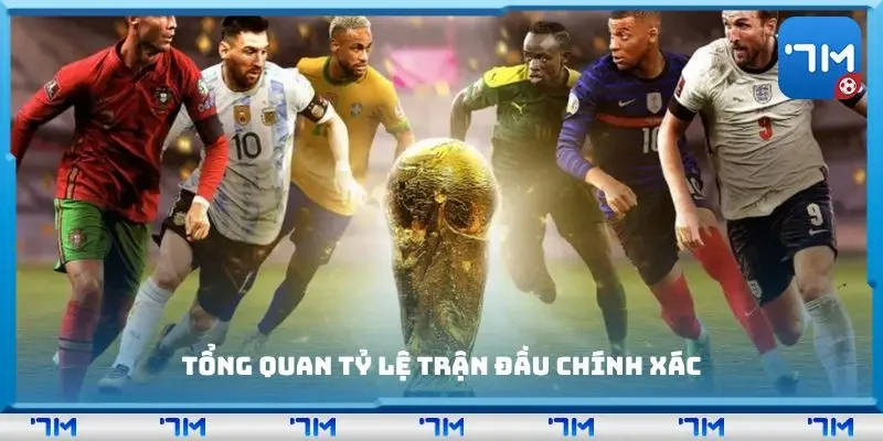 Tổng quan tỷ lệ trận đầu chính xác